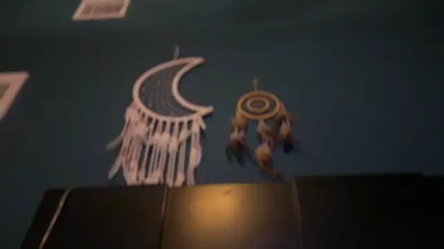 KungFuPanda001 webcam
