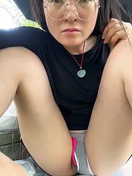 h-139431 webcam