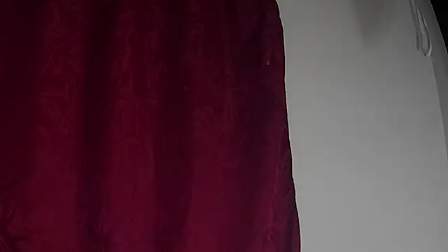 StarElii webcam