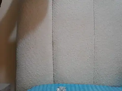 Tehiller webcam