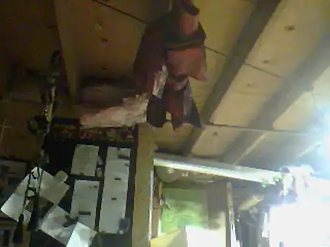 OldManOnline webcam