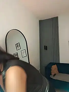 evazul webcam