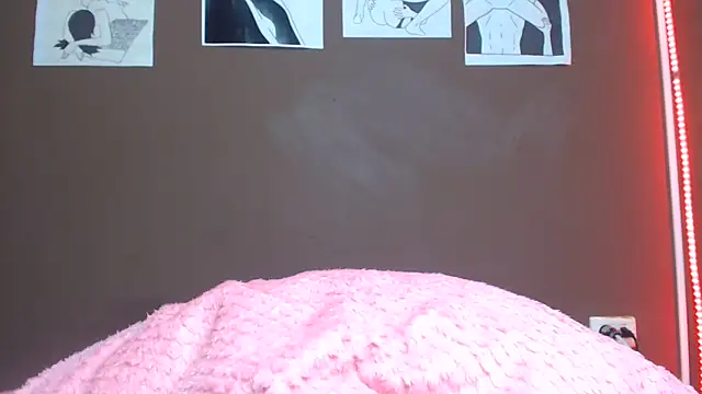Doeschi_Fox webcam