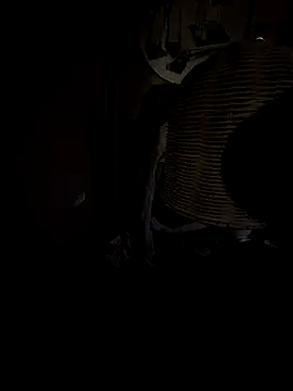 Mikeyjoe2840 webcam