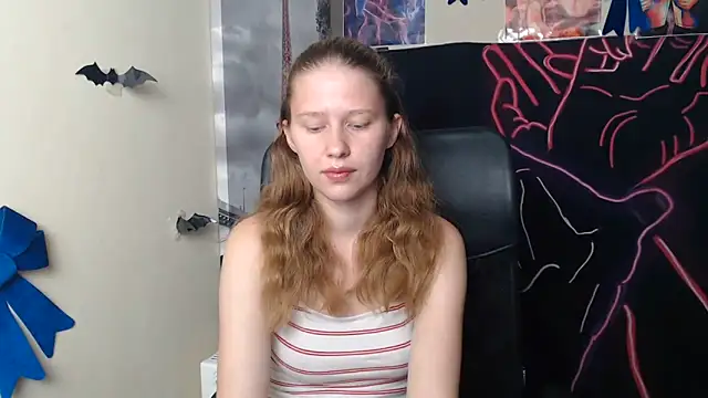 StellaCRL webcam