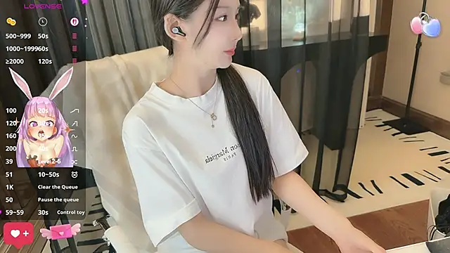 Aisi-20 webcam