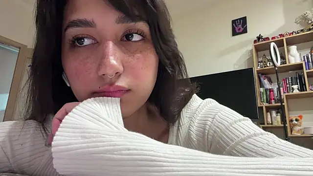 PaintedDisplay webcam