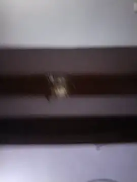Telugu_angeljanu1 webcam