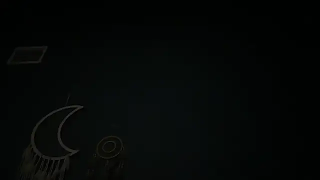 KungFuPanda001 webcam