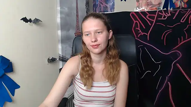 StellaCRL webcam