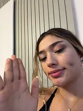Arianavillada webcam
