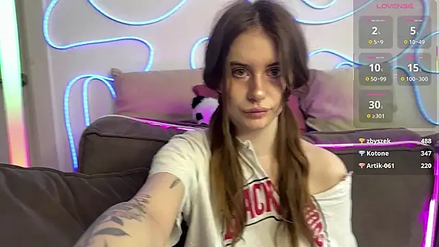evvaavve webcam