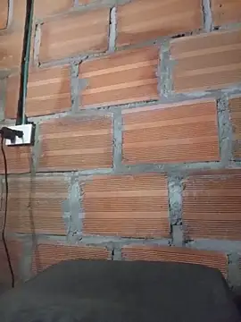 perloon webcam