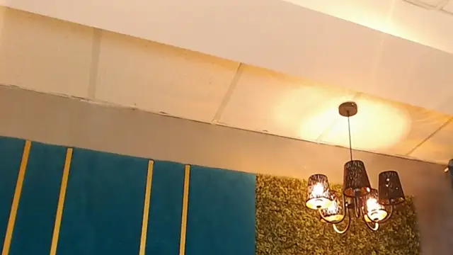 ElviraZoi webcam