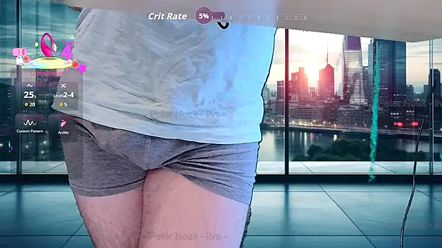 PeterNoak webcam