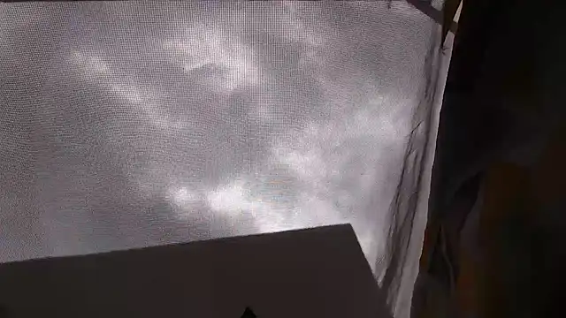 CurvyGlass webcam