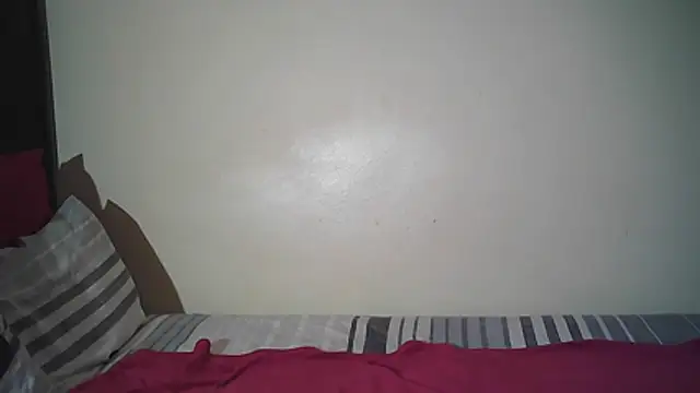 SuvieyX webcam