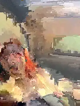 ZorraDeFuego webcam