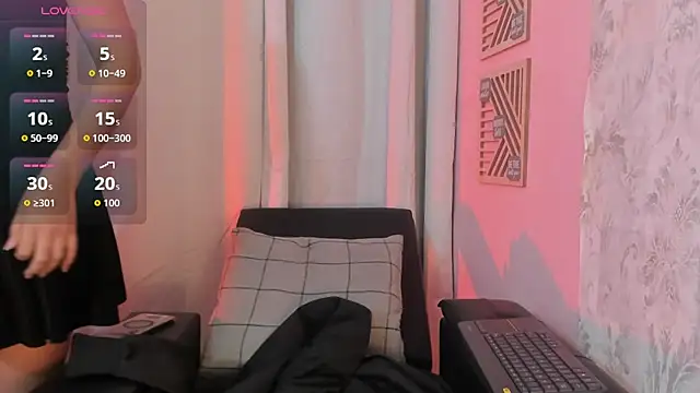 Jaadewest webcam