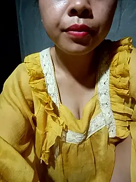 embe1144 webcam