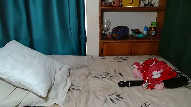 Theecougar webcam
