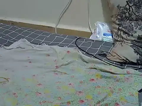 verl1 webcam