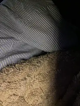Toiyeuanh webcam