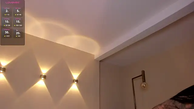 morganlake_ webcam