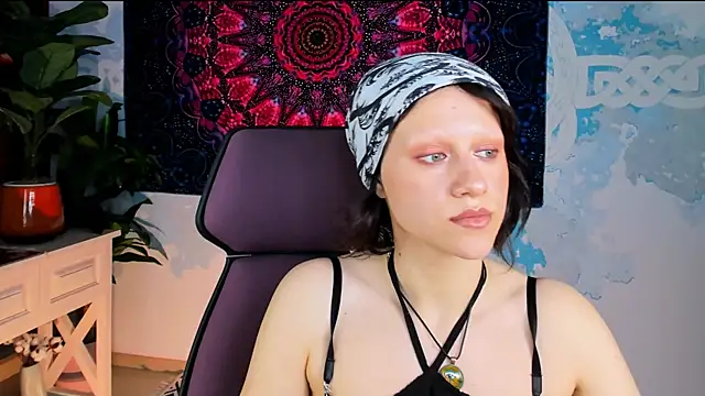 LidaDarknet webcam
