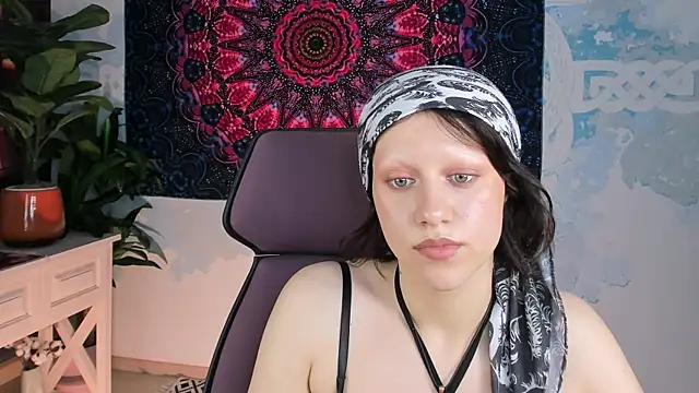 LidaDarknet webcam