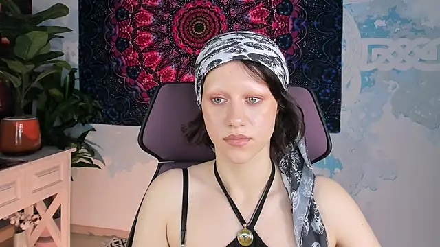 LidaDarknet webcam