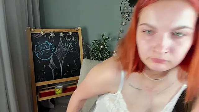 nortellii webcam