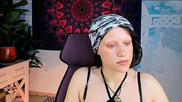 LidaDarknet webcam