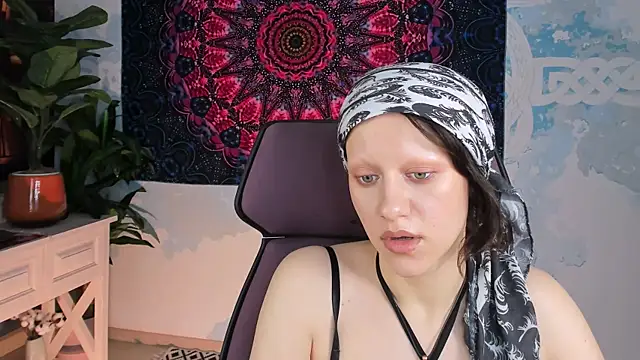 LidaDarknet webcam