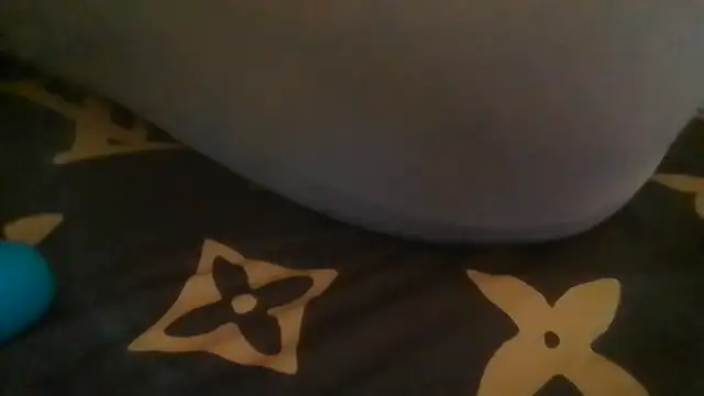 ShysluutGia webcam