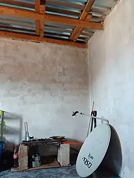 Pediblackboy webcam