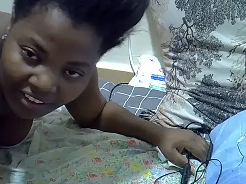 verl1 webcam