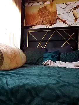 BINSA35 webcam