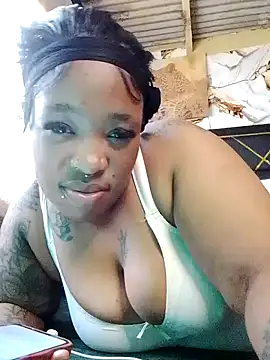 BINSA35 webcam