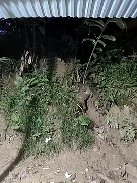 WeaklyMop webcam