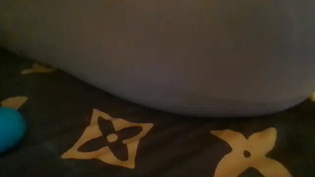 ShysluutGia webcam