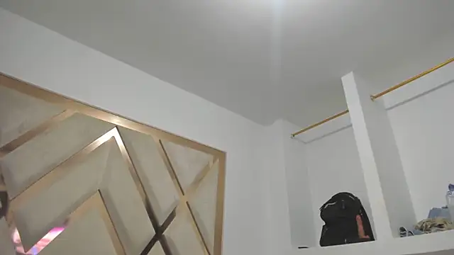 mitch_asm webcam