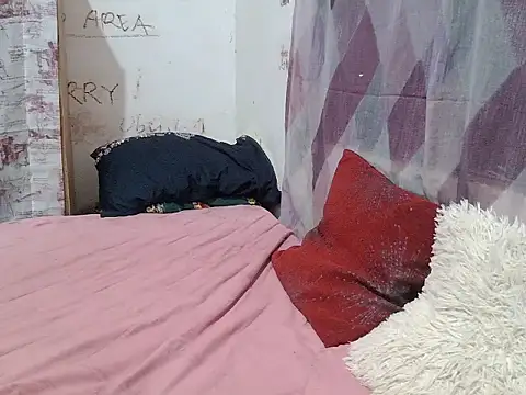 Minimahal webcam