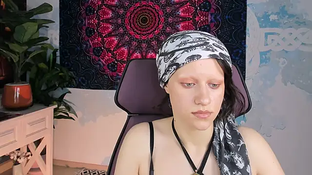 LidaDarknet webcam