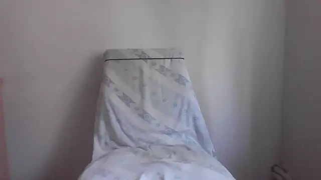 fl3xxx1 webcam
