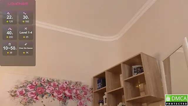 Sue_Sanders webcam