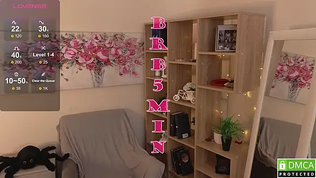 Sue_Sanders webcam