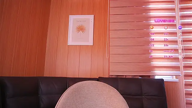 Asecondsoul webcam