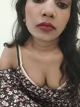 SA-K-SHI webcam