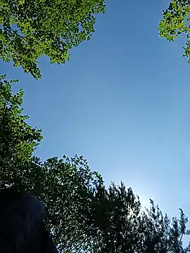 Gruesote00 webcam